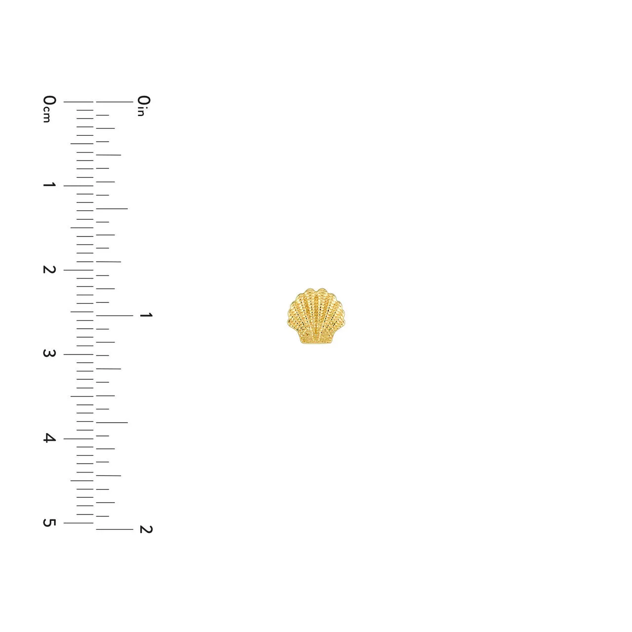 14K Mini Seashell Stud Earrings