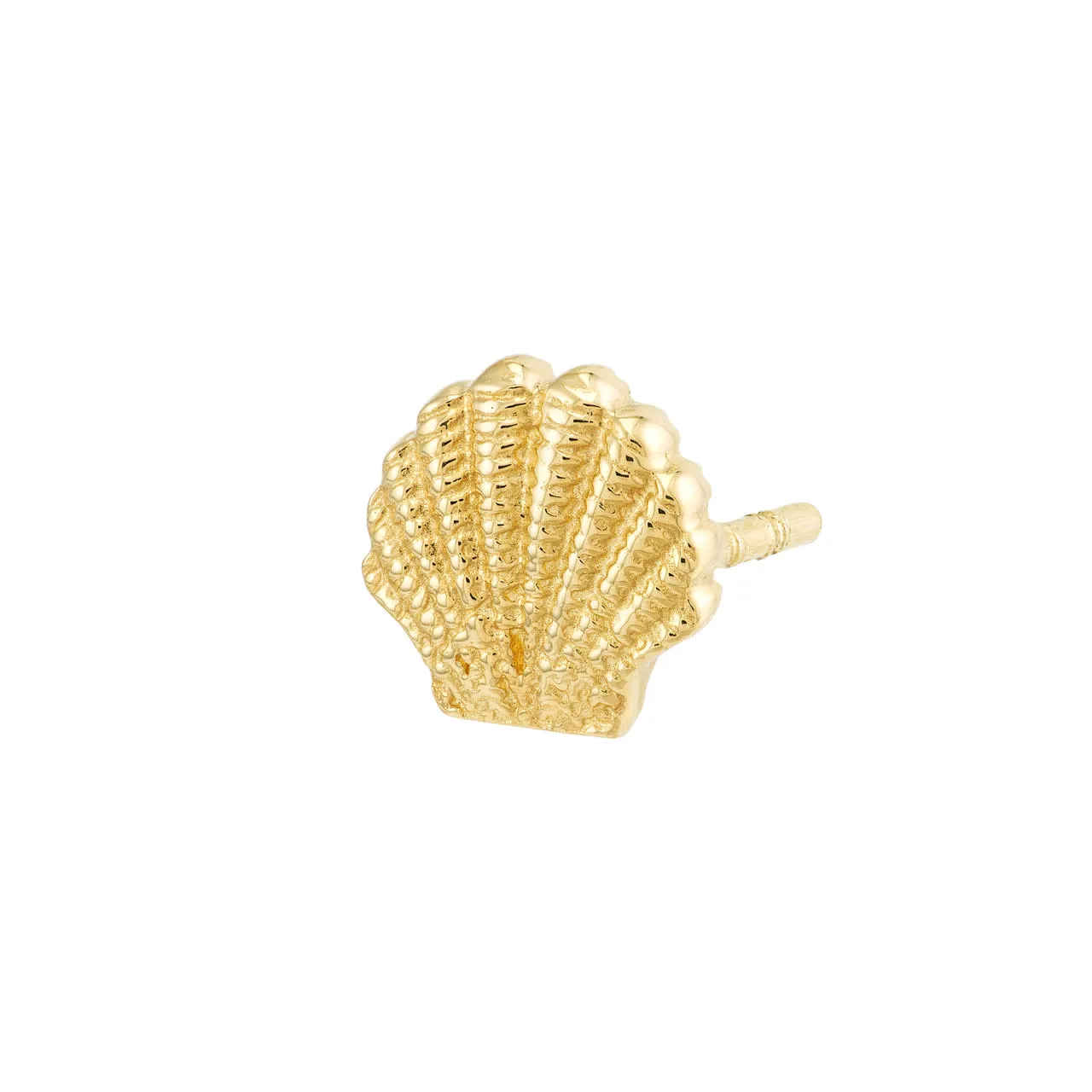 14K Mini Seashell Stud Earrings