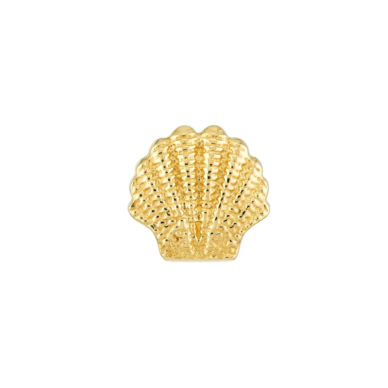 14K Mini Seashell Stud Earrings