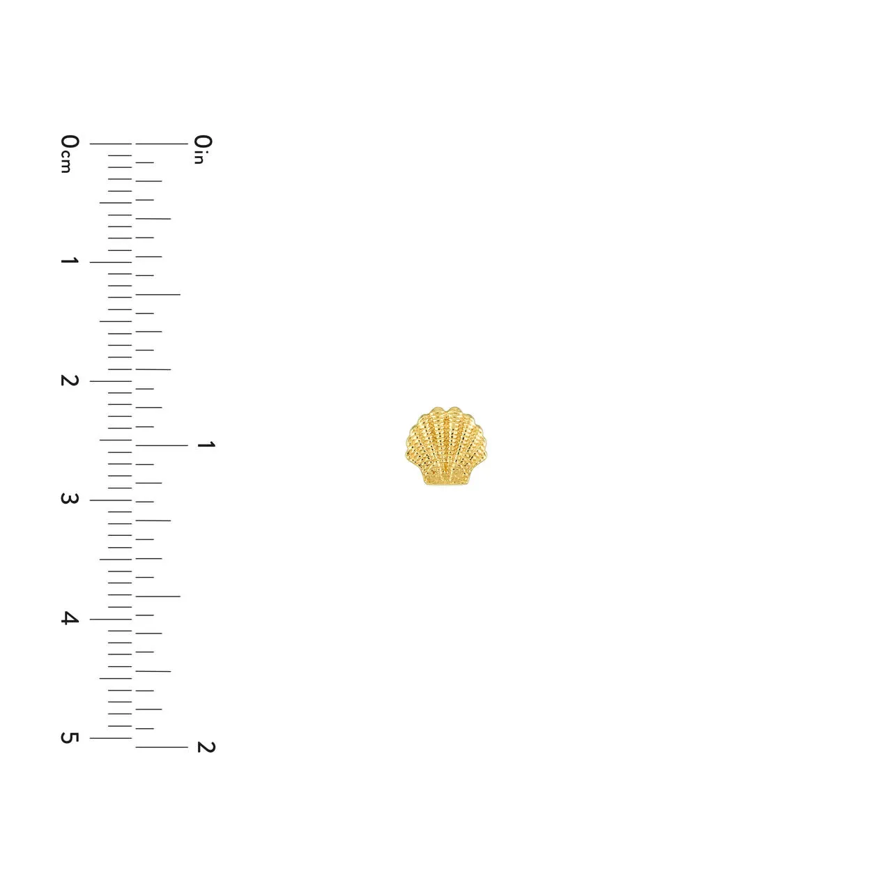 14K Mini Seashell Stud Earrings