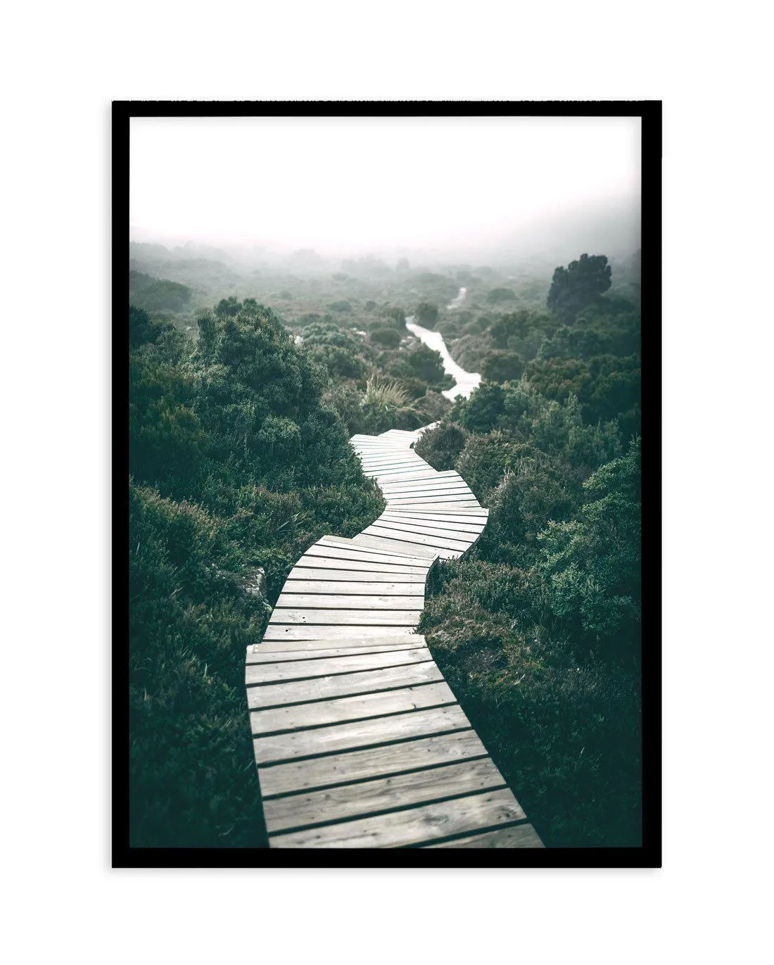 Along The Tracks | Tasmania Art Print