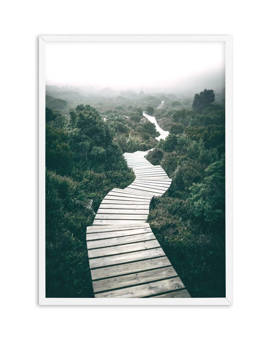 Along The Tracks | Tasmania Art Print