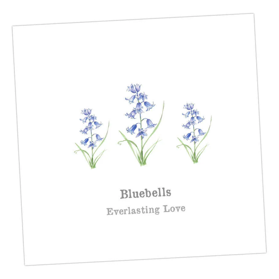 Bluebells Card