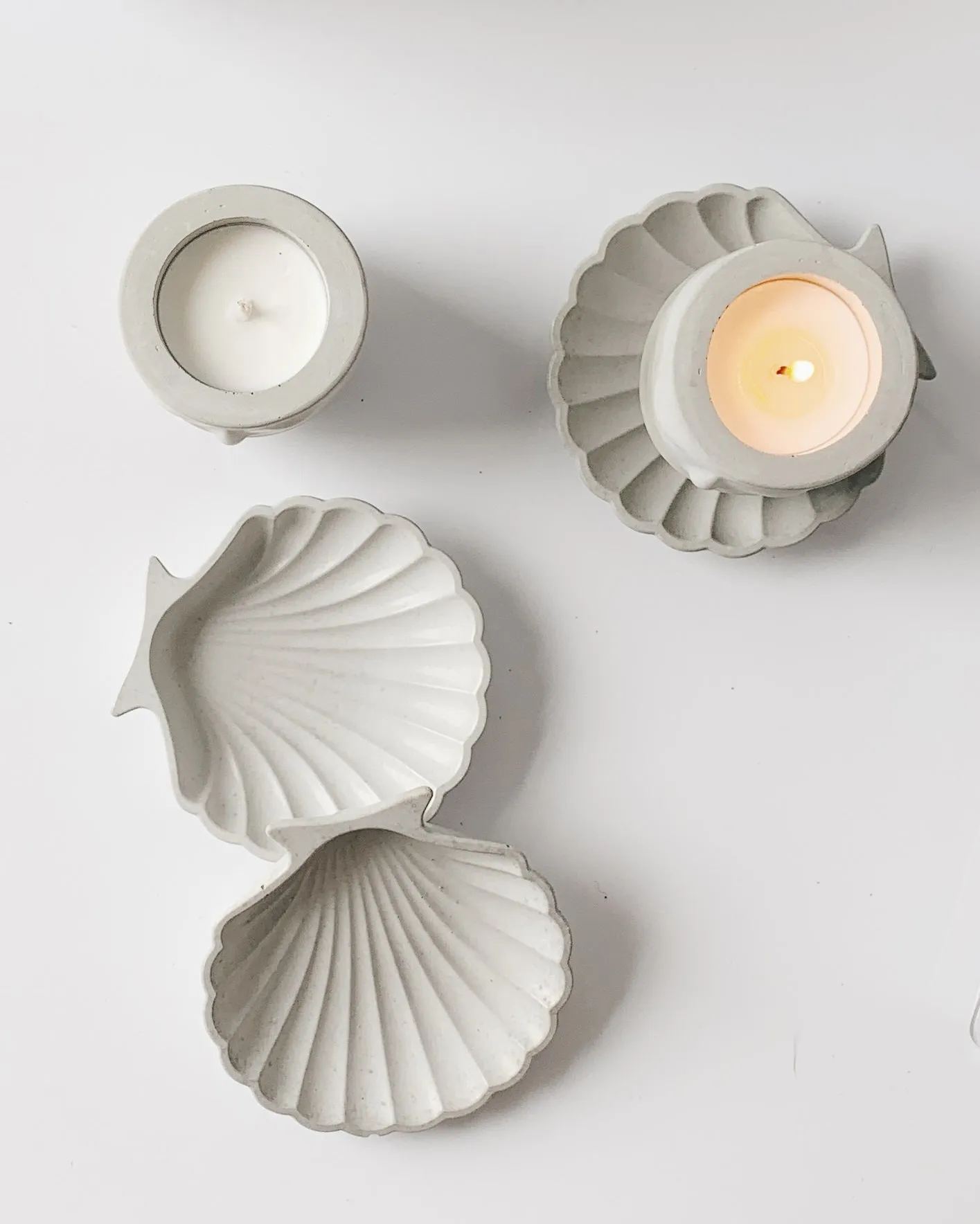 Concrete Seashell Tray