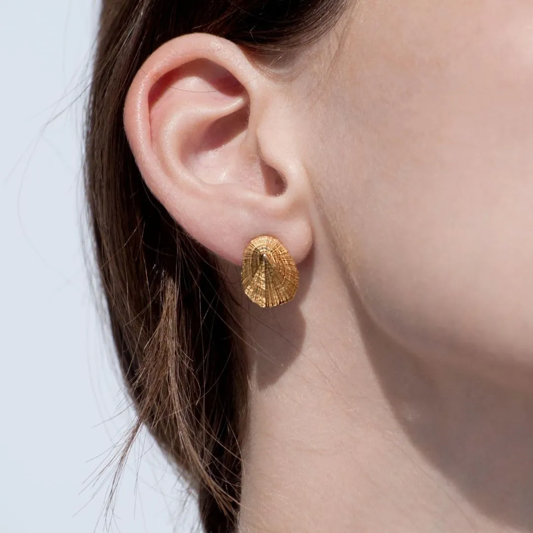 Favourite limpet - stud earrings - silver 925 - gold plated