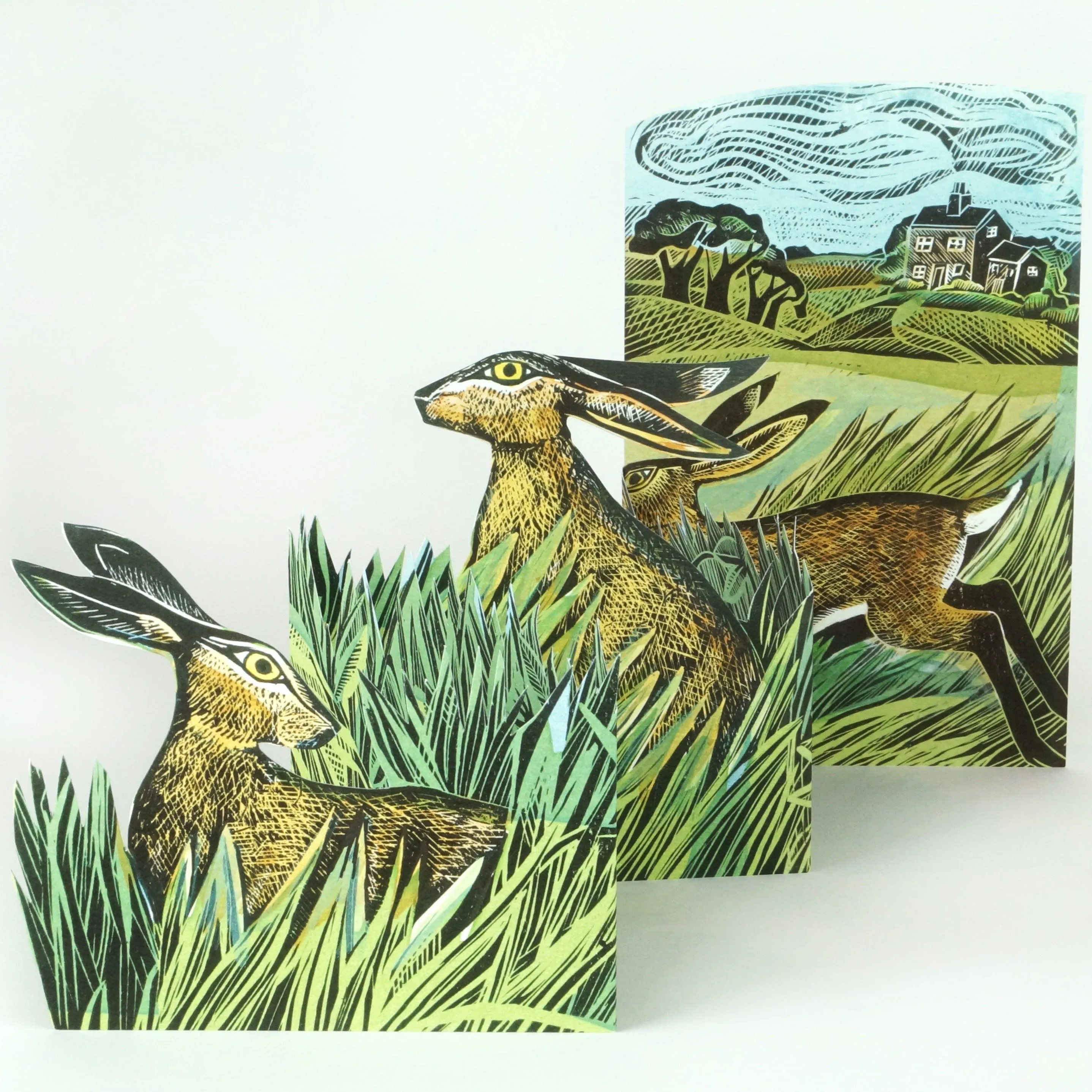Hares and Open Field - 3D Card