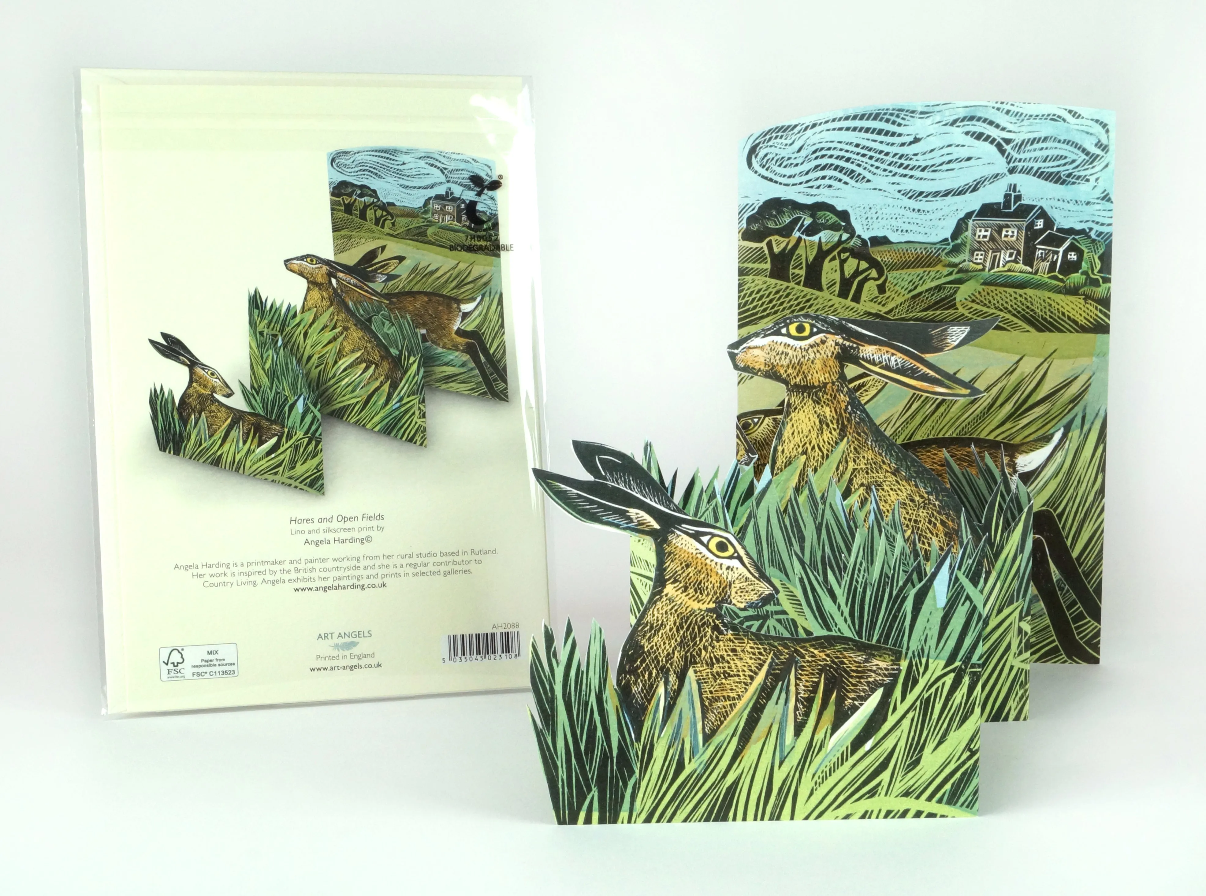 Hares and Open Field - 3D Card