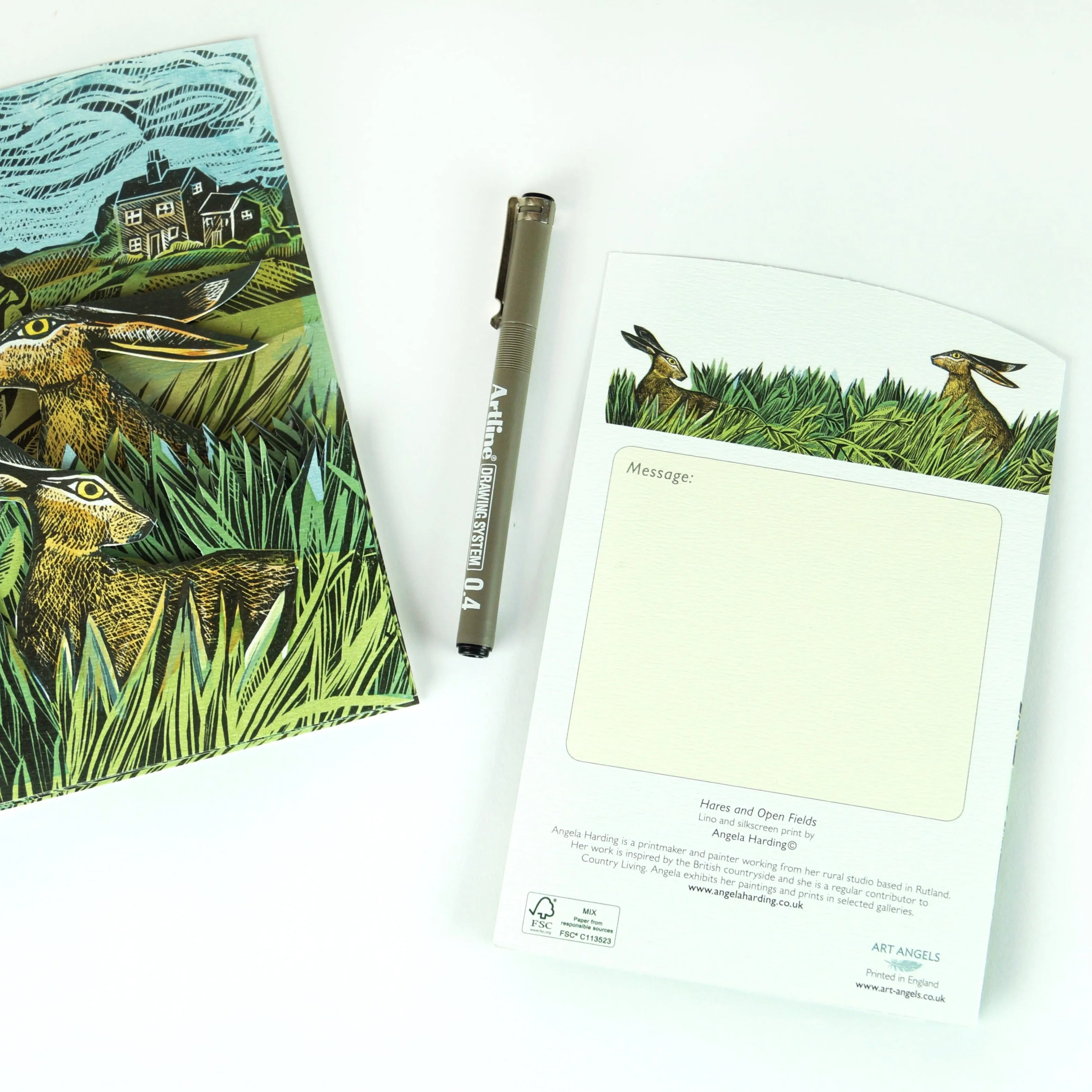 Hares and Open Field - 3D Card