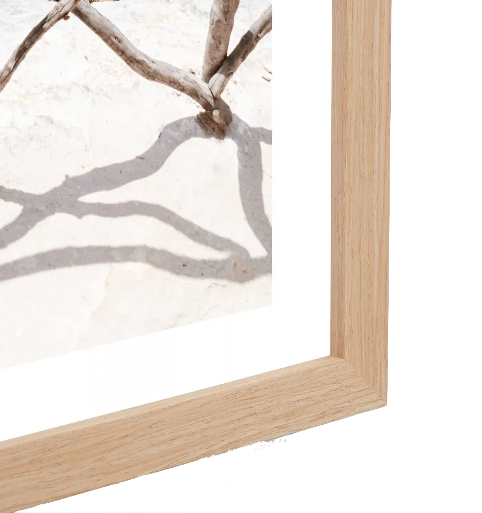 Hidden Oasis Framed Print