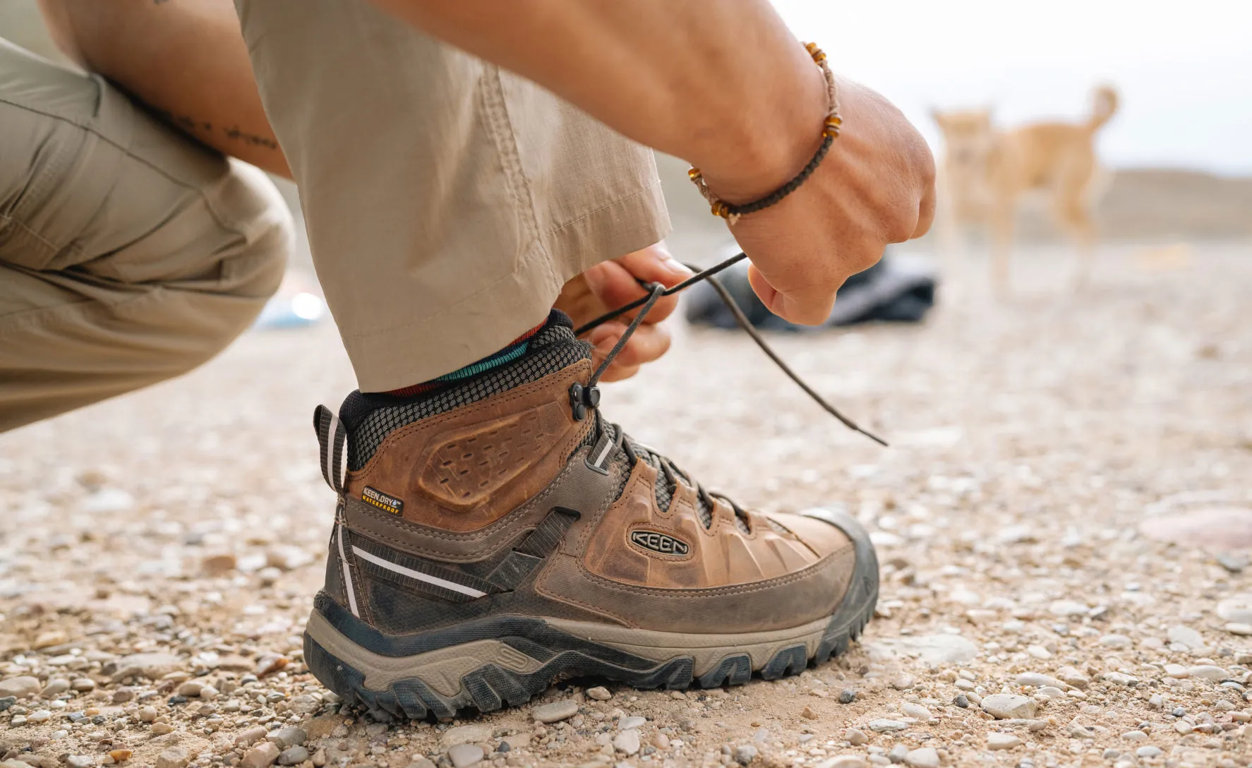 Men's Targhee III Waterproof Mid  |  Chestnut/Mulch