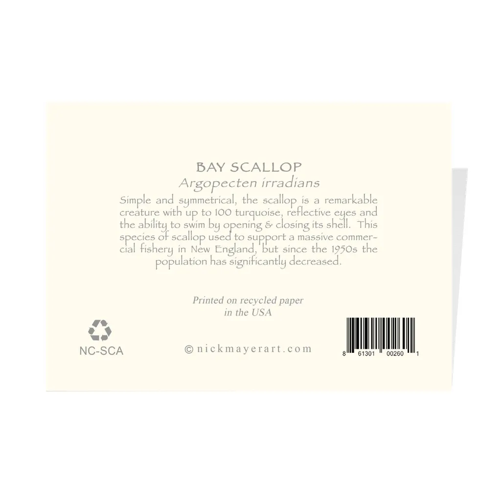 Scallop Notecards