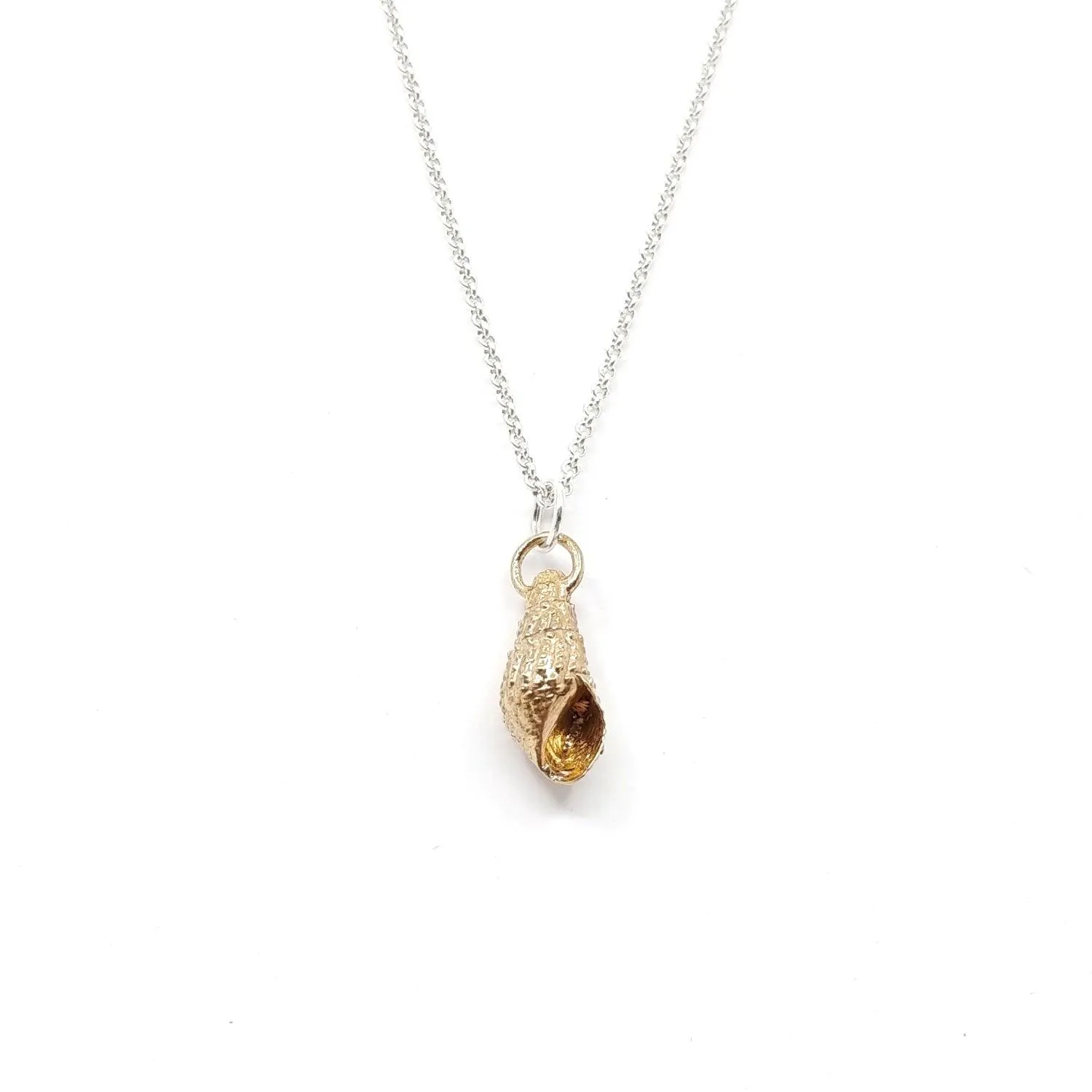Seashell Pendant