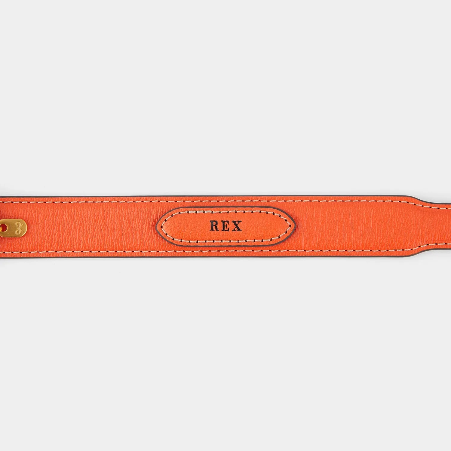 Small Dog Collar