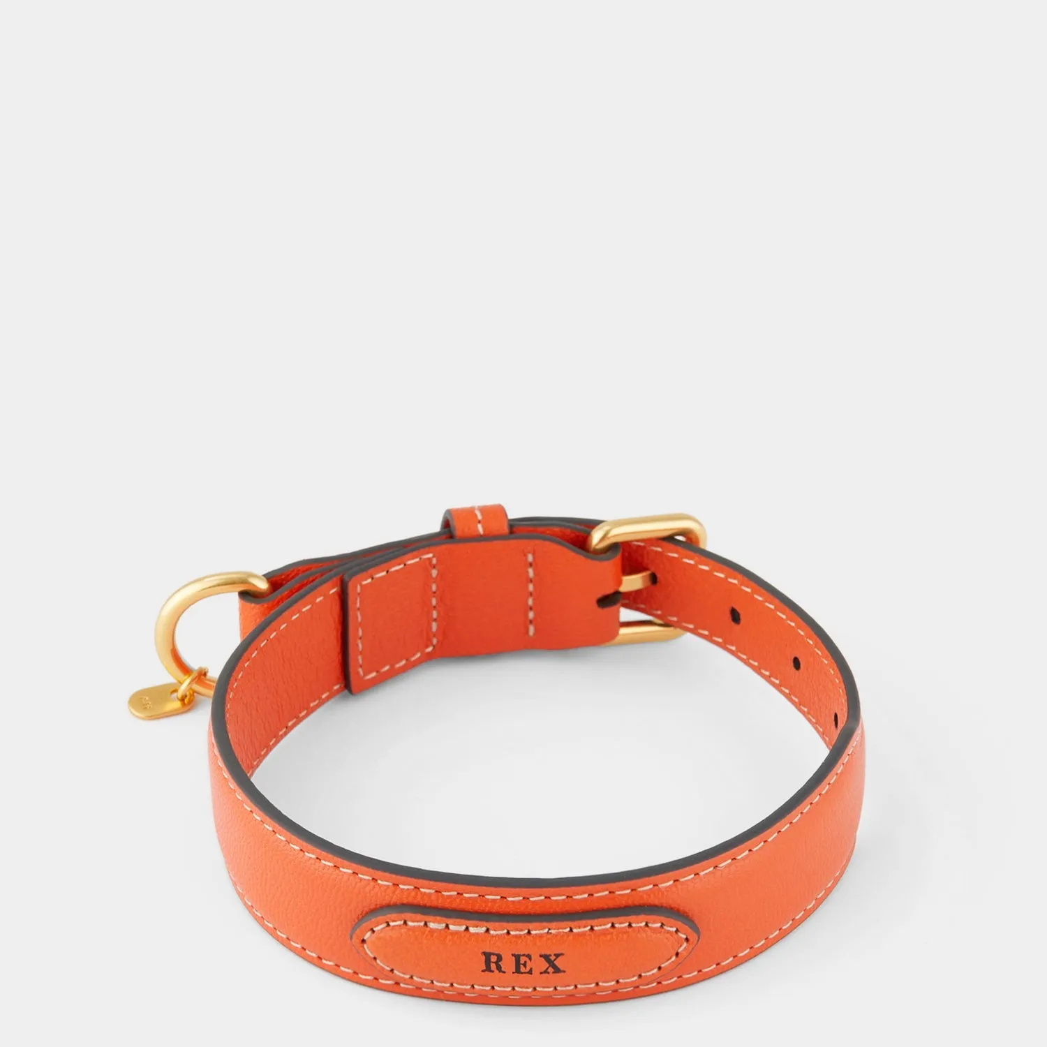Small Dog Collar