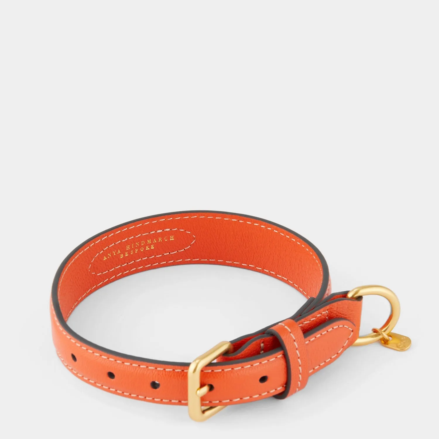Small Dog Collar