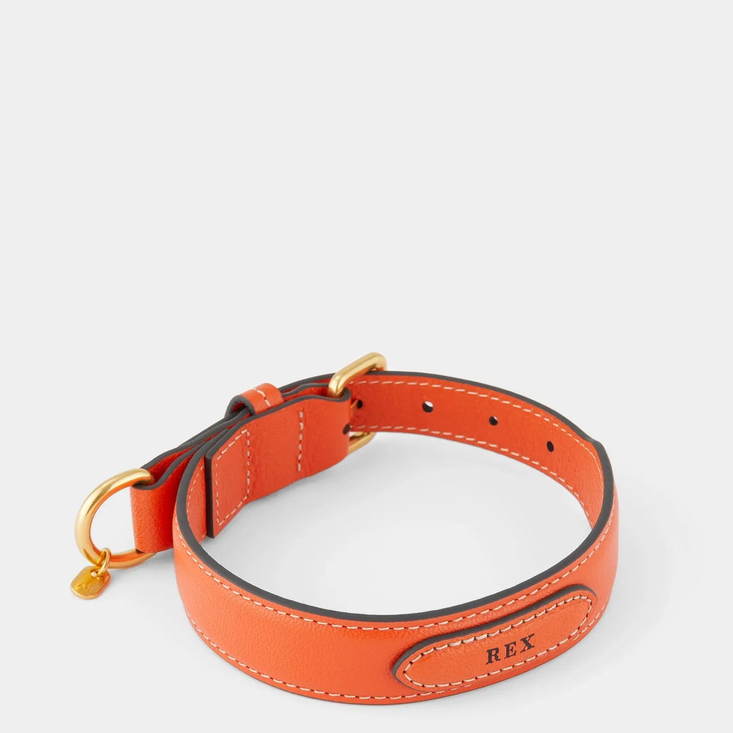 Small Dog Collar